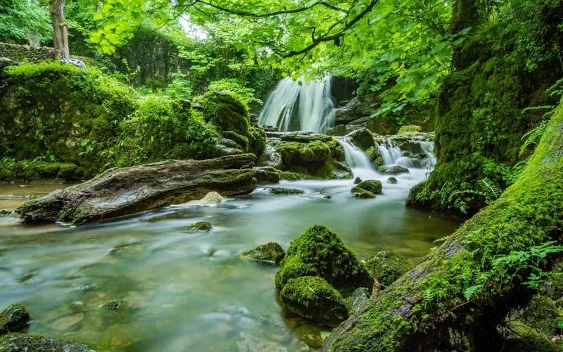 工业高端